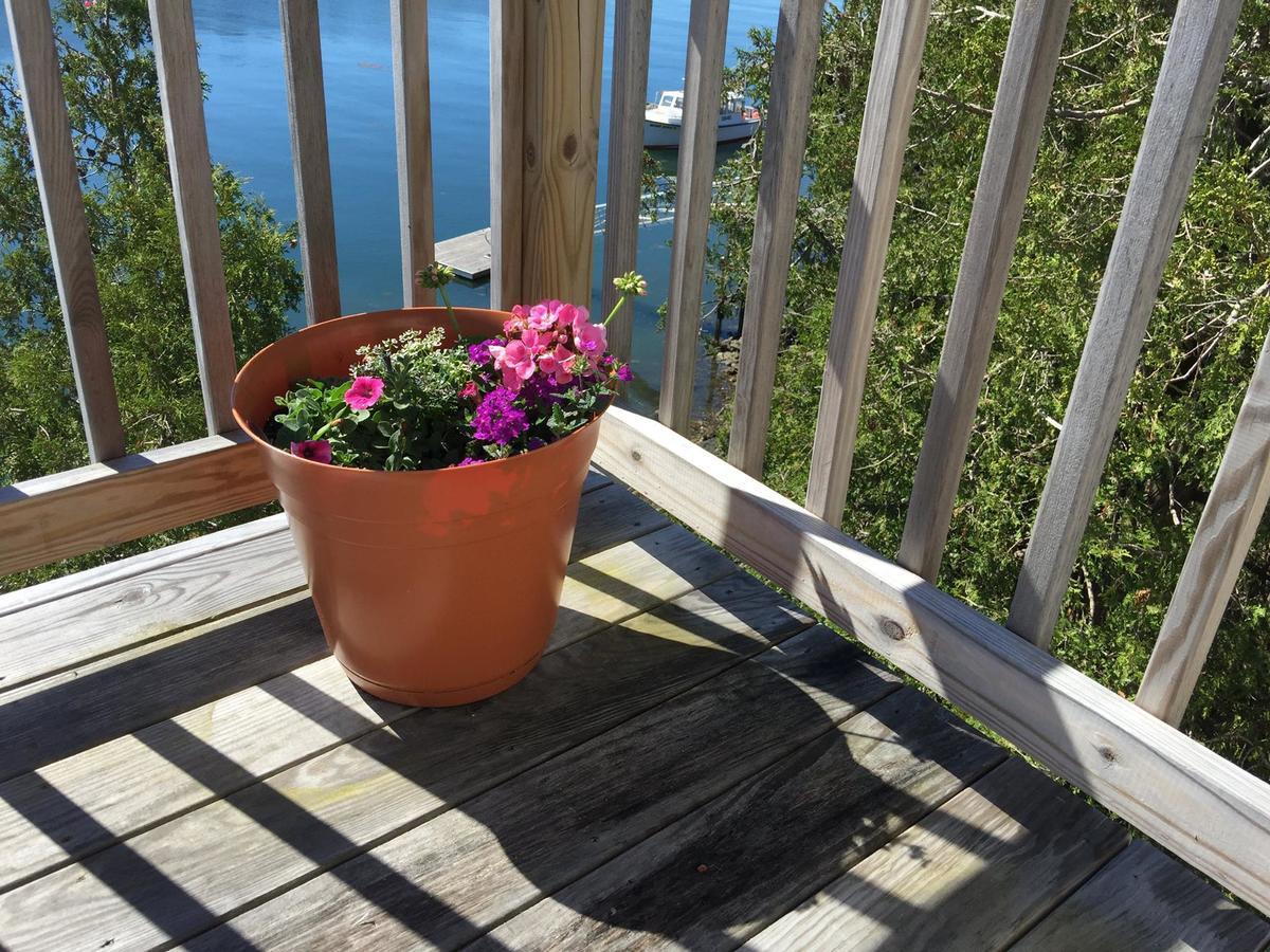 Harpswell Quahog Bay Inn المظهر الخارجي الصورة